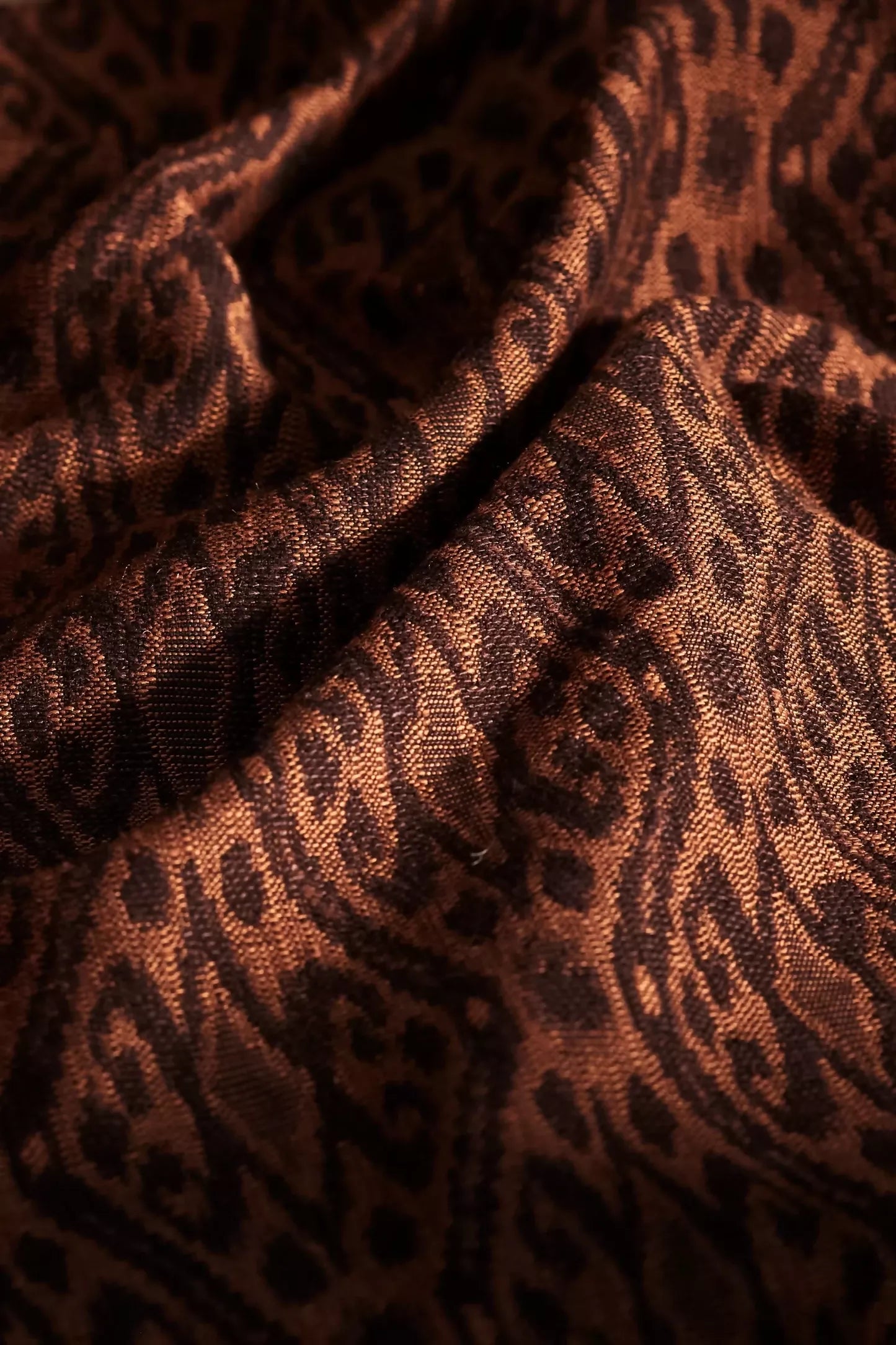 tortoishell