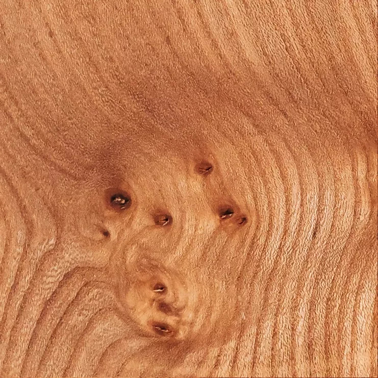 elm