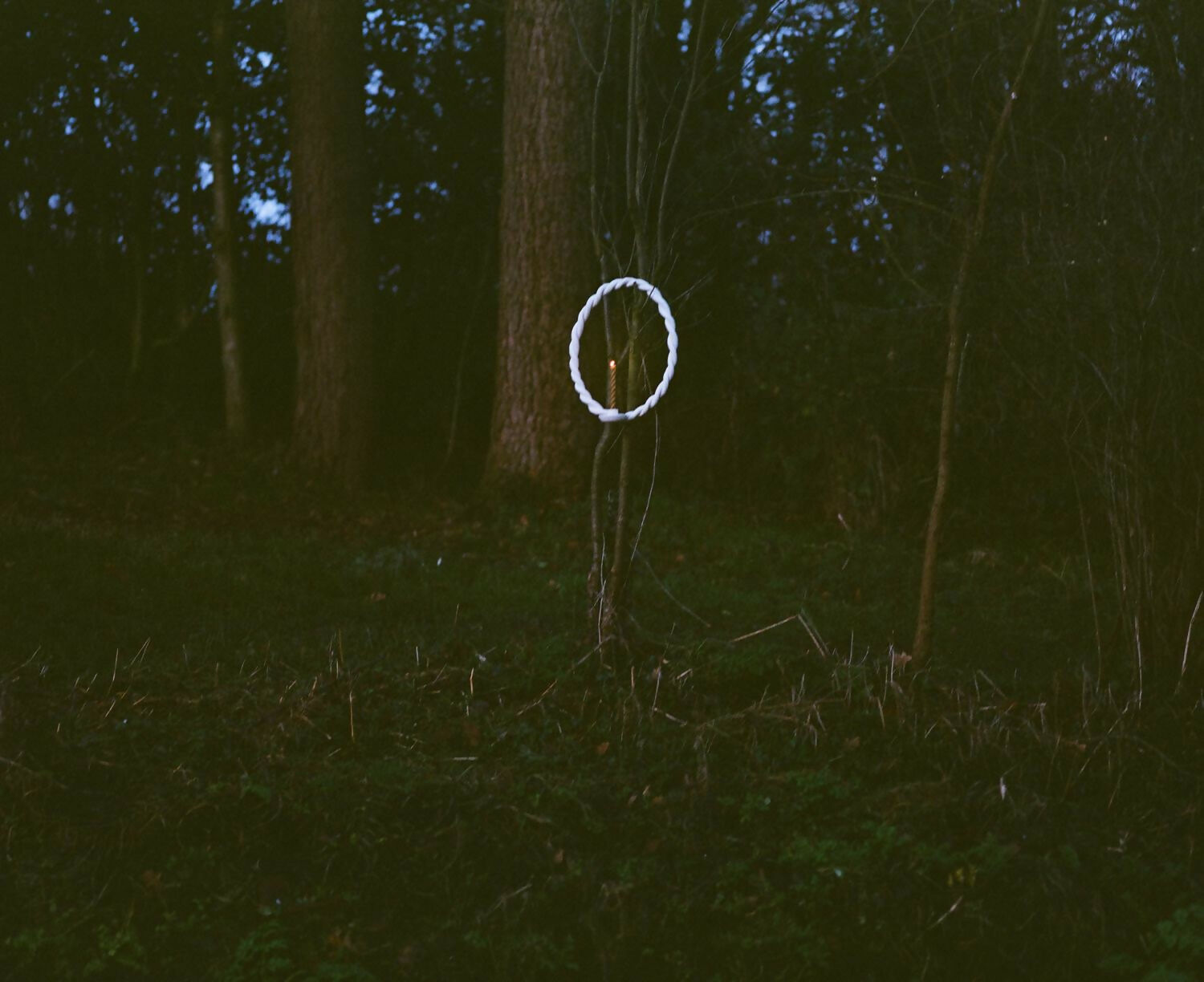 Dark forest scene with a white circle highlighting an object on a stick,  available  to buy on the-salon.com. SALON curates the finest , unique, handmade pieces from the interior industry's best makers and brands. Shop luxury furniture, lighting, rugs, art, antiques and vintage pieces and accessories from SALON interior designed rooms.