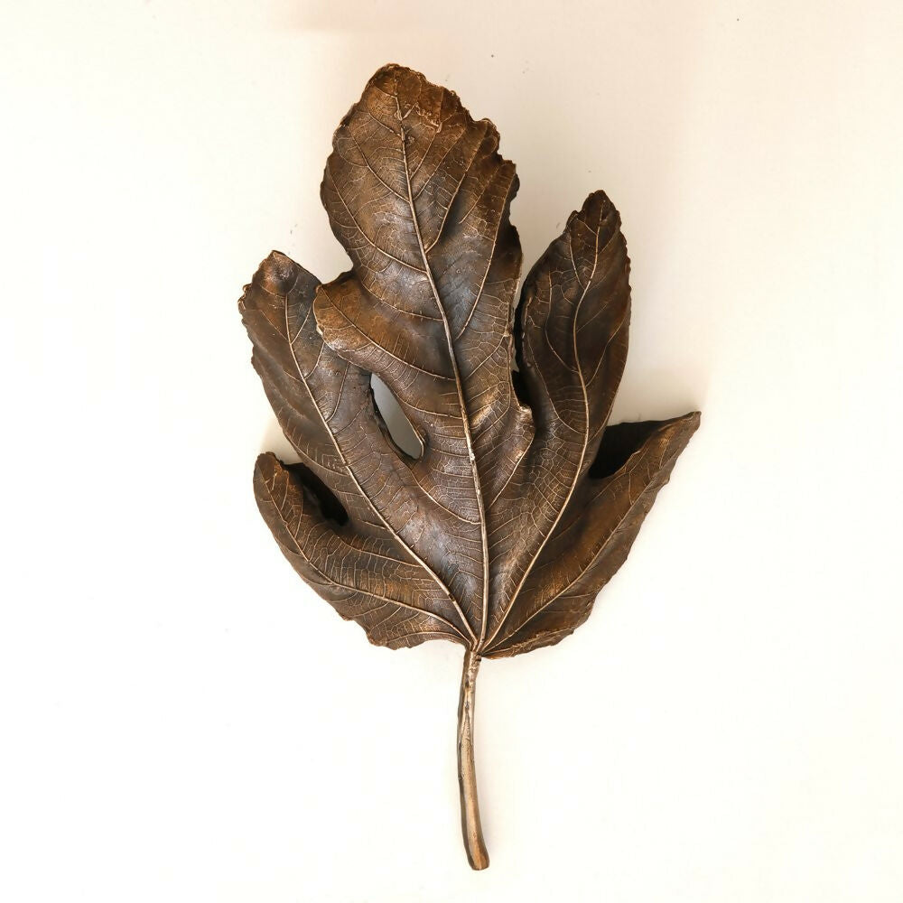 brassy+fig