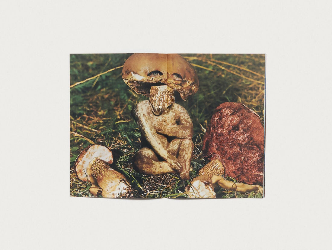 ab7765-hybrids-and-mushroom-friends-06(1)