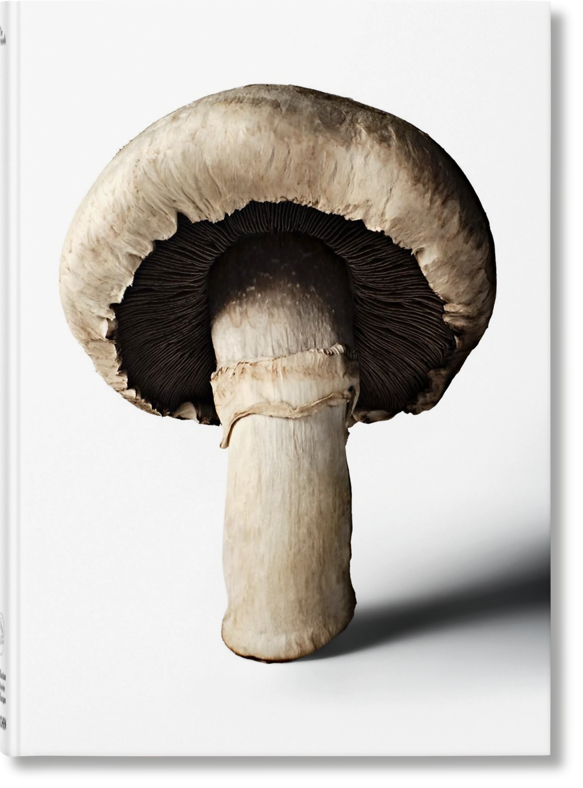 THE GOURMAND'S MUSHROOM FROM TASCHEN