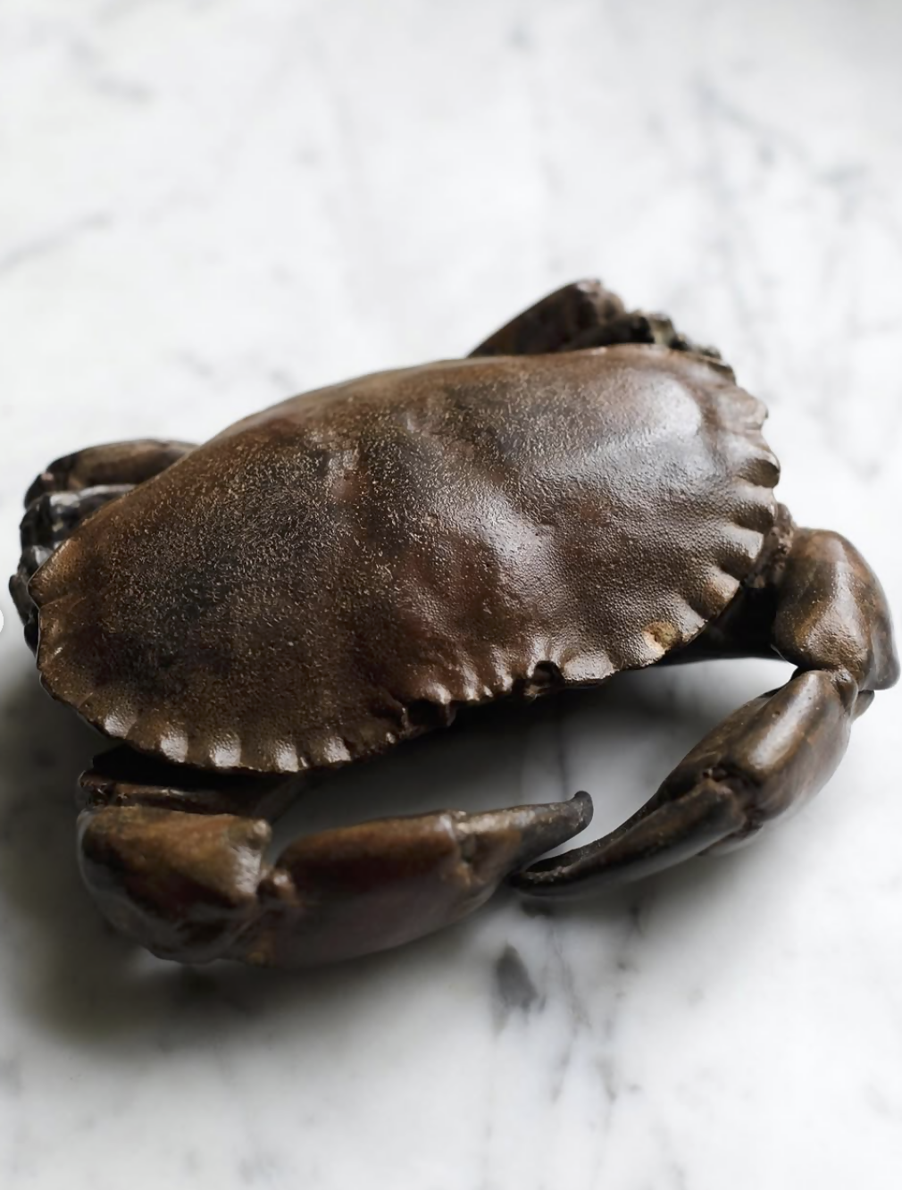 Brown bronze crab on a marble surface, available  to buy on the-salon.com. SALON curates the finest , unique, handmade pieces from the interior industry's best makers and brands. Shop luxury furniture, lighting, rugs, art, antiques and vintage pieces and accessories from SALON interior designed rooms.