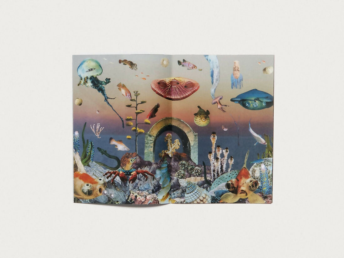 ab7765-hybrids-and-mushroom-friends-05(1)