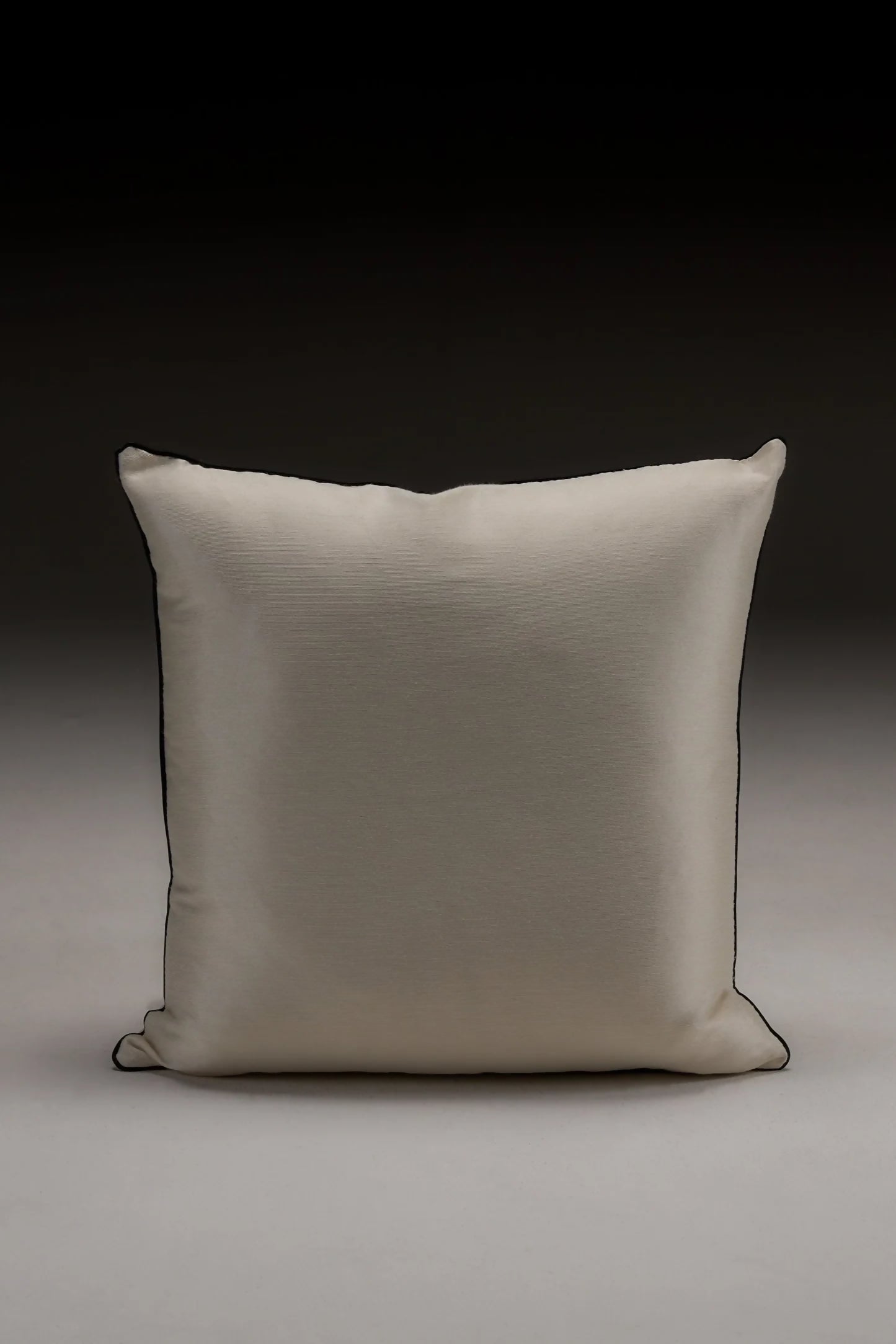 sateencushion_a7b7142c-1a0b-41f7-9773-23e8801947f1